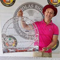 gaiolasbiguapelotas