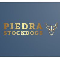 piedrastockdogs50
