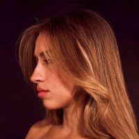 spider web trilogy tour remix