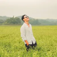 original sound - zilmizola