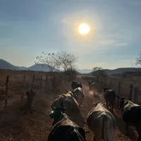 original sound - somosdelranchom