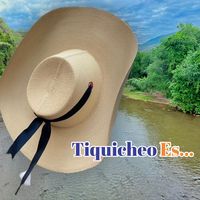 tiquicheoes