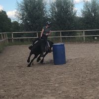 ponyszijngangster_