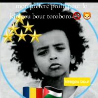 kiregoubourtoroboro