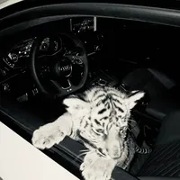 original sound - music.xx6