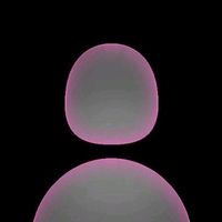drpro_9