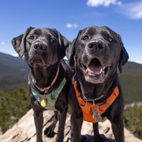 lincoln.the.lab