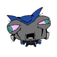 buckyrider1