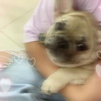 ternurita68_tu_patrona