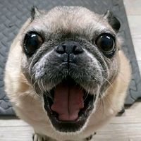 оригинальный звук