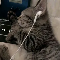 original sound - n3rumuz