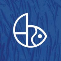 suara asli - bestfiz makassar