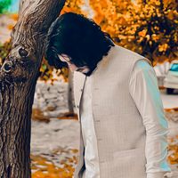 abbasshah78676