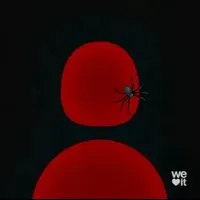 original sound - sp3d._s0und