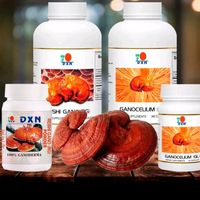 tienda.virtual.daxen.01