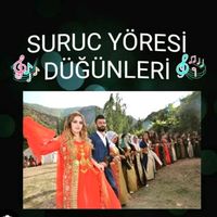 suruc_dugunleri_63