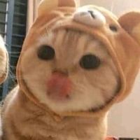 nj_xh2