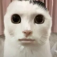 sound by diegorierad