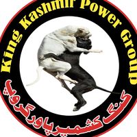 kingkashmirpowergroup99