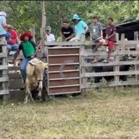 jhonrosales82