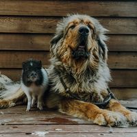 digitalaccountability1