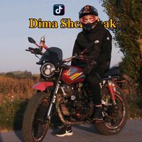 _motorcycle_owner_sonik_