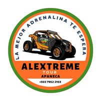 alextremebuggys