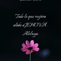 original sound - samariace