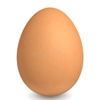 egg6528