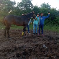 martin.12345santucho