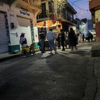 los.curiosos08