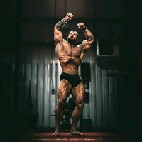 gymdex