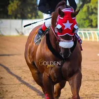 original sound - turf18