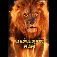 original sound - adoracioncristiana