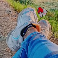 sandyvalencia53