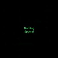 suara asli - Nothing Special