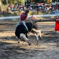 diego.pino20