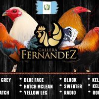 gallerafernandezc