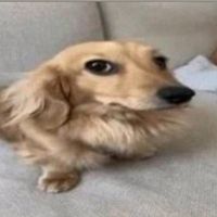 mobbnla