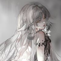 naeichi2