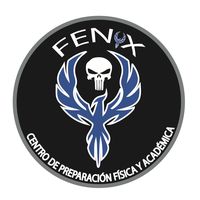 fenix482010