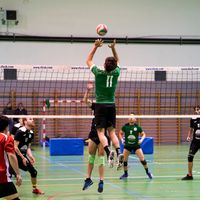 herreros.11