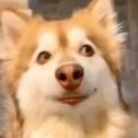 original sound - nanettefatorausuk