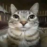 hannah_does_initials