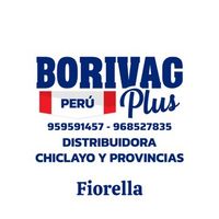 borivagpluschiclayo