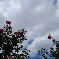 ojitos15_5