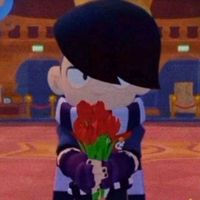 _fan_de_brawlstars_300