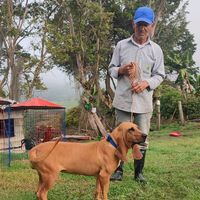 hermanosguizacolombia