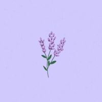 _aesthetic.vide00s_