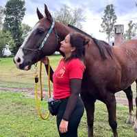 original sound - julidayeer